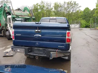2013 Ford F-150 XL with VIN 1FTFX1EFXDFB89719, listed as a IAAI auction lot 42310707 with 142,977 mi miles and . Bid and sale history available at DreamBid. Image 17.
