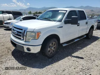 2009 Ford F-150 XL с VIN 1FTPW12V49KC61077, выставлен на аукционе Copart как лот 60334045 с пробегом 135 014 миль миль и Списание • Salvage title. История ставок и продаж доступна на DreamBid. Изображение 1.