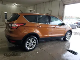 2017 Ford Escape SE with VIN 1FMCU0GD7HUE53039, listed as a Copart auction lot 51157025 with 89,216 mi miles and Salvage Title. Bid and sale history available at DreamBid. Image 3.