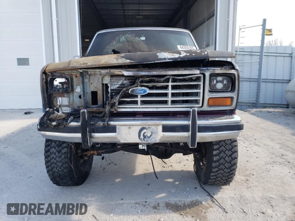 1985 Ford F-150 with VIN 1FTDF15YXFPB27178, listed as a Copart auction lot 44355395 with 0 mi miles and Clean Title. Bid and sale history available at carsss.com. Image 5.