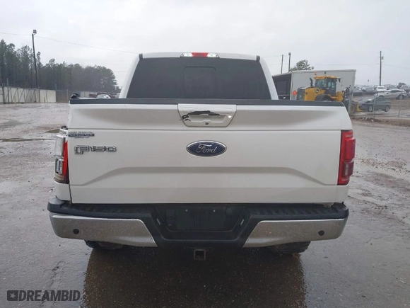 2015 Ford F-150 XLT with VIN 1FTEW1EG9FKE68712, listed as a IAAI auction lot 41460006 with 229,477 mi miles. Bid and sale history available at carsss.com. Image 17.