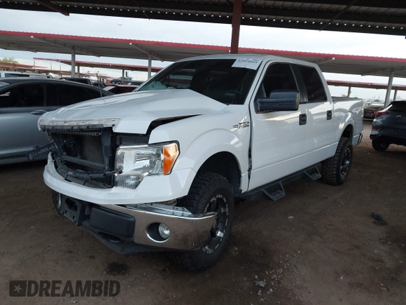 2013 Ford F-150 XL with VIN 1FTFW1EF5DFB99853, listed as a IAAI auction lot 42024669 with 113,013 mi miles. Bid and sale history available at carsss.com. Image 17.