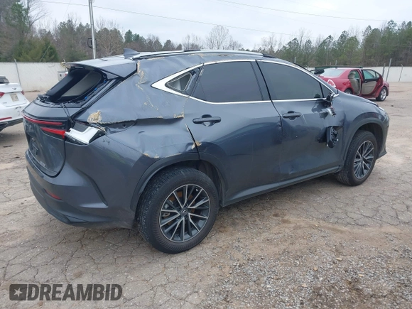 2024 Lexus NX 250 Premium with VIN JTJGDCAZ5R2014024, listed as a IAAI auction lot 41221211 with Not Provided miles and . Bid and sale history available at DreamBid. Image 4.