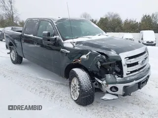 2013 Ford F-150 with VIN 1FTVW1EF4DKE07465, listed as a IAAI auction lot 41601235 with 131,721 mi miles and . Bid and sale history available at DreamBid. Image 6.