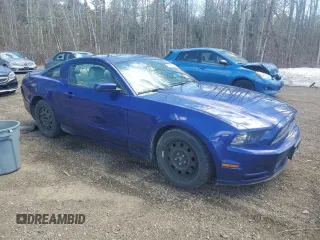 2014 Ford Mustang V6 with VIN 1ZVBP8AM9E5317478, listed as a Copart auction lot 53539755 with 305,642 mi miles and Salvage Title. Bid and sale history available at carsss.com. Image 4.