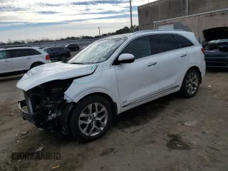 2019 Kia Sorento SX Limited with VIN 5XYPKDA55KG534456, listed as a Copart auction lot 46461045 with 65,259 mi miles and Salvage Title. Bid and sale history available at carsss.com. Image 1.