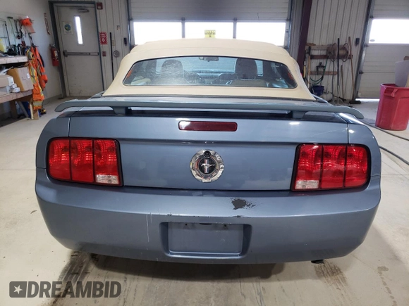 2005 Ford Mustang Deluxe with VIN 1ZVFT84N955258739, listed as a Copart auction lot 53480975 with 154,945 mi miles and Salvage Title. Bid and sale history available at carsss.com. Image 6.