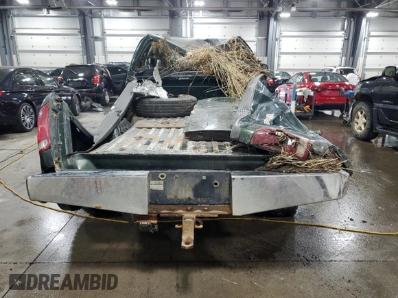 1999 Ford F-250 XL with VIN 1FTNX21S0XEA86579, listed as a Copart auction lot 71221184 with 169,104 mi miles and Non repairable. Bid and sale history available at DreamBid. Image 6.