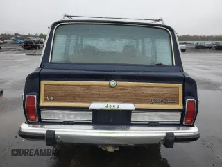 1987 Jeep Grand Wagoneer with VIN 1JCNJ15U7HT006097, listed as a Copart auction lot 89191925 with 119,168 mi miles and Salvage title. Bid and sale history available at DreamBid. Image 6.