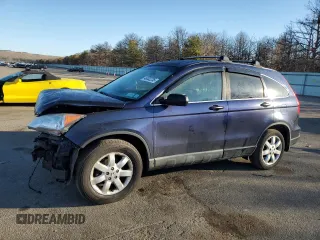 2009 Honda CR-V EX with VIN 5J6RE48519L046409, listed as a Copart auction lot 48532235 with 119,204 mi miles and Salvage Title. Bid and sale history available at carsss.com. Image 1.