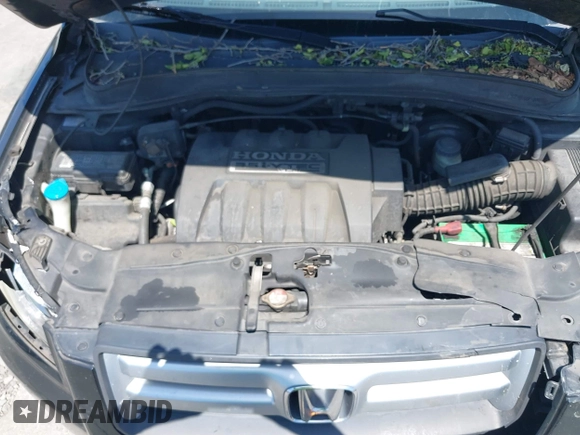 2008 Honda Pilot EX-L with VIN 5FNYF28728B020701, listed as a IAAI auction lot 42551294 with 136,860 mi miles and . Bid and sale history available at DreamBid. Image 10.
