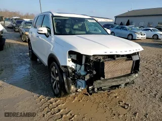 2020 Kia Telluride S with VIN 5XYP6DHC4LG005137, listed as a Copart auction lot 46643625 with 124,663 mi miles and Salvage Title. Bid and sale history available at carsss.com. Image 15.