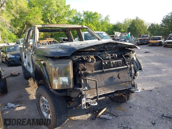 2011 Ford F-250 XL with VIN 1FT7W2BT5BEB38140, listed as a IAAI auction lot 42076028 with Not provided miles and . Bid and sale history available at DreamBid. Image 1.