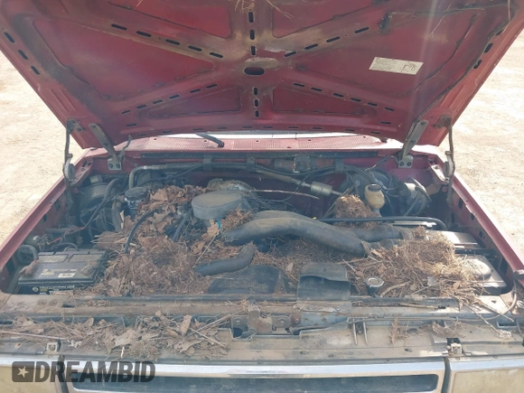 1991 Ford F-150 with VIN 1FTEX15N2MKB29623, listed as a IAAI auction lot 41880826 with 14,556 mi miles. Bid and sale history available at carsss.com. Image 10.