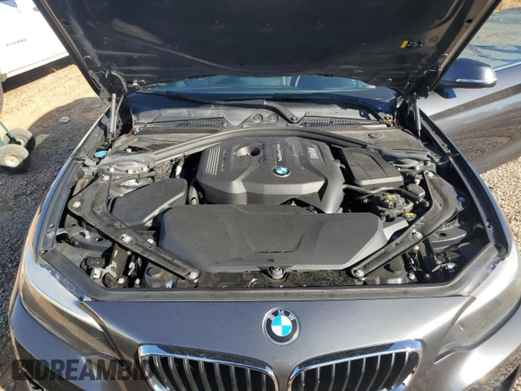 2017 BMW 2 Series 230i with VIN WBA2K9C31HV950585, listed as a Copart auction lot 88525515 with 39,618 mi miles and Salvage title. Bid and sale history available at DreamBid. Image 11.