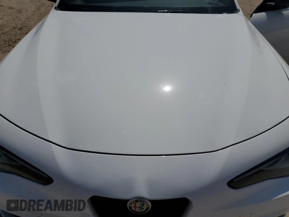 2020 Alfa Romeo Giulia Ti Sport с VIN ZARFAMBN1L7636628, выставлен на аукционе Copart как лот 56220145 с пробегом 59 768 миль миль и Списание • Salvage title. История ставок и продаж доступна на DreamBid. Изображение 11.