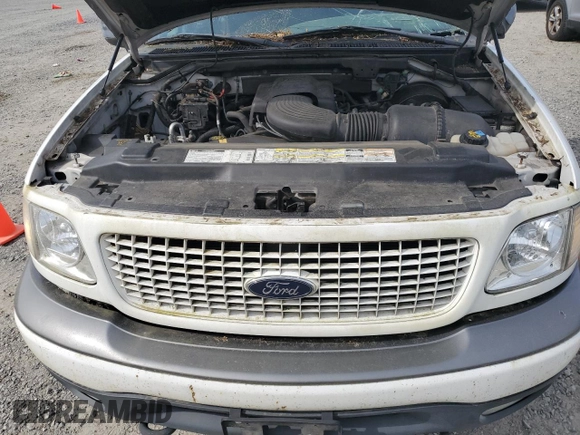 2000 Ford Expedition XLT with VIN 1FMRU166XYLA67790, listed as a Copart auction lot 43822185 with Not Provided miles and Salvage Title. Bid and sale history available at DreamBid. Image 12.