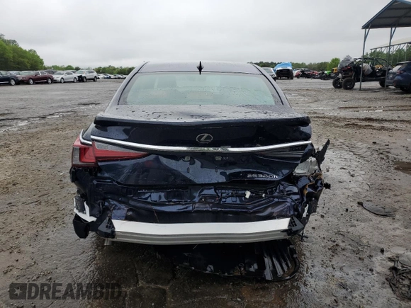 2024 Lexus ES 300h Luxury with VIN 58AEA1C16RU054104, listed as a Copart auction lot 43981705 with 9,196 mi miles and Salvage title. Bid and sale history available at DreamBid. Image 6.