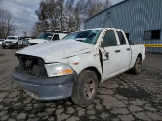2010 Dodge 1500 ST with VIN 1D7RB1GK4AS126579, listed as a Copart auction lot 44359815 with Not Provided miles and Salvage Title. Bid and sale history available at DreamBid. Image 1.
