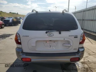 2004 Hyundai Santa Fe GLS with VIN KM8SC73E54U813053, listed as a Copart auction lot 70923004 with 143,490 mi miles and Salvage Title. Bid and sale history available at carsss.com. Image 6.
