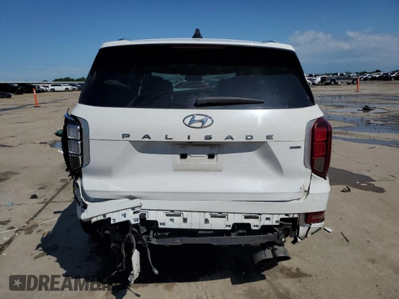 2020 Hyundai Palisade Limited with VIN KM8R5DHE9LU102289, listed as a Copart auction lot 54194415 with 98,282 mi miles and Salvage title. Bid and sale history available at DreamBid. Image 6.