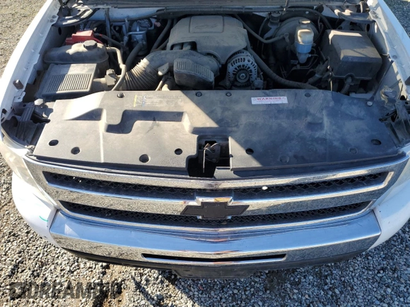 2010 Chevrolet Silverado 1500 LS with VIN 1GCSKREA5AZ245740, listed as a Copart auction lot 47038335 with 163,599 mi miles and Salvage Title. Bid and sale history available at DreamBid. Image 12.