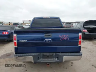 2009 Ford F-150 STX with VIN 1FTRX12889FA97356, listed as a IAAI auction lot 42121444 with 166,010 mi miles and . Bid and sale history available at DreamBid. Image 16.