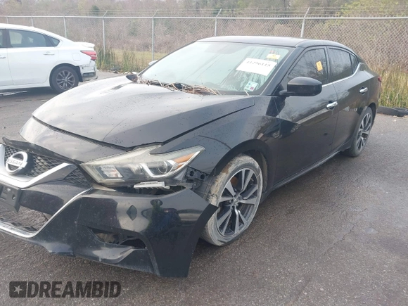2016 Nissan Maxima SV with VIN 1N4AA6AP2GC409289, listed as a IAAI auction lot 41296115 with Not Provided miles and . Bid and sale history available at DreamBid. Image 2.