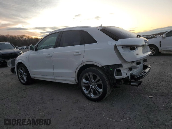 2017 Audi Q3 Prestige with VIN WA1GCCFS1HR017228, listed as a Copart auction lot 41571055 with 63,301 mi miles and Salvage Title. Bid and sale history available at carsss.com. Image 2.