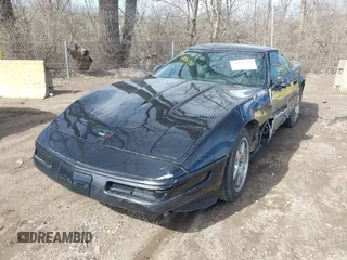 1995 Chevrolet Corvette z VIN 1G1YY22P1S5118252, wystawiony jako IAAI lot #41816716 z przebiegiem 143 210 mil mil oraz . Historia ofert i sprzedaży dostępna na DreamBid. Obrazek 17.