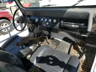 1994 Jeep Wrangler S with VIN 1J4FY19P4RP401204, listed as a Copart auction lot 77847694 with 0 mi miles and Non Repairable. Bid and sale history available at carsss.com. Image 8.