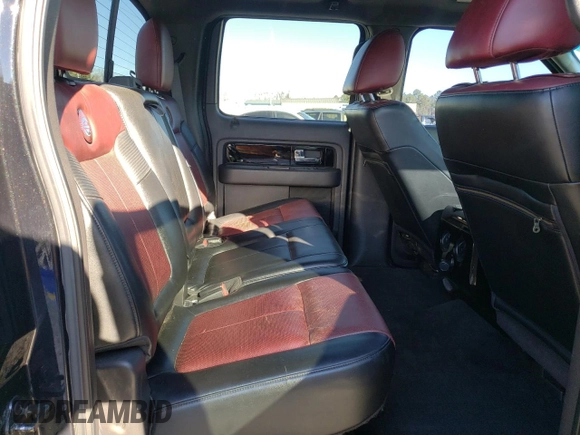 2010 Ford F-150 with VIN 1FTEW1CV6AFA09527, listed as a Copart auction lot 41410035 with 191,889 mi miles and Salvage title. Bid and sale history available at DreamBid. Image 10.