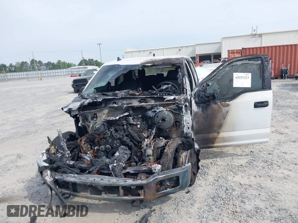 2019 Ford F-150 XL with VIN 1FTEW1C53KFC88713, listed as a IAAI auction lot 42053323 with Not Provided miles and . Bid and sale history available at carsss.com. Image 6.