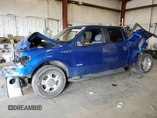 2012 Ford F-150 XL with VIN 1FTFW1ET5CFA59595, listed as a Copart auction lot 55673103 with Not provided miles and Salvage title. Bid and sale history available at DreamBid. Image 1.