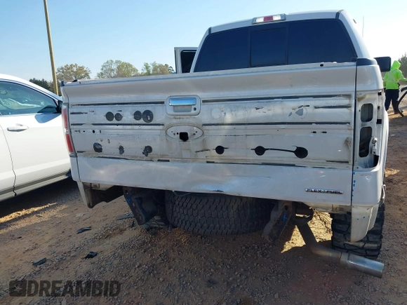 2013 Ford F-150 XL with VIN 1FTFW1EF9DFD32369, listed as a IAAI auction lot 41880252 with 128,320 mi miles. Bid and sale history available at carsss.com. Image 18.