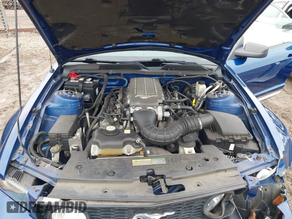 2009 Ford Mustang GT with VIN 1ZVHT82HX95119781, listed as a IAAI auction lot 41482288 with 70,757 mi miles and . Bid and sale history available at DreamBid. Image 10.