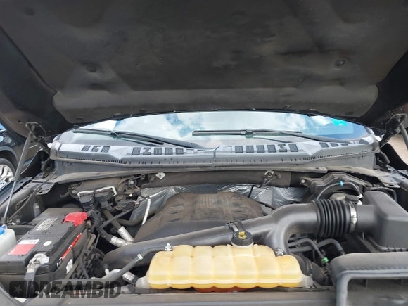 2016 Ford F-150 XLT with VIN 1FTEW1EG4GFA00476, listed as a IAAI auction lot 41218630 with Not provided miles and . Bid and sale history available at DreamBid. Image 10.