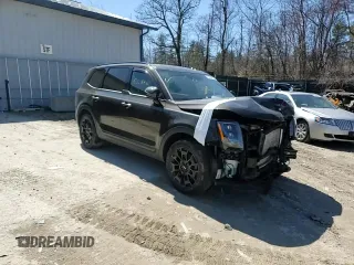 2022 Kia Telluride SX with VIN 5XYP5DHC2NG276672, listed as a Copart auction lot 53269885 with 44,780 mi miles and Salvage title. Bid and sale history available at DreamBid. Image 11.