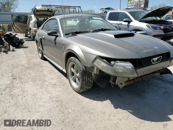2002 Ford Mustang GT Deluxe with VIN 1FAFP42X62F224855, listed as a Copart auction lot 52753995 with 231,592 mi miles and Salvage title. Bid and sale history available at DreamBid. Image 11.