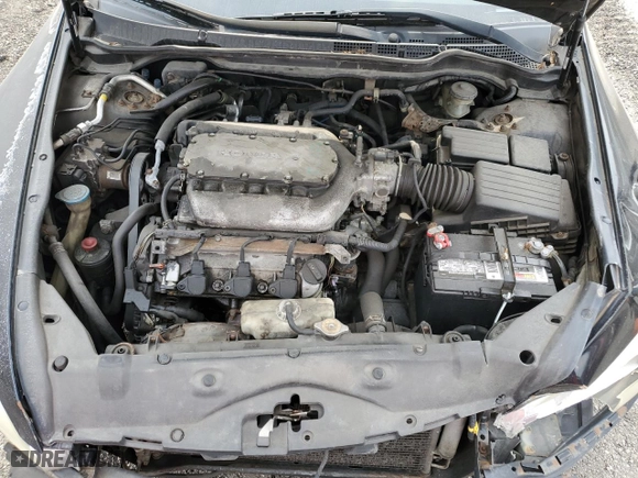2003 Honda Accord Cpe EX with VIN 1HGCM82683A032759, listed as a Copart auction lot 50019325 with 0 mi miles and Salvage Title. Bid and sale history available at carsss.com. Image 11.