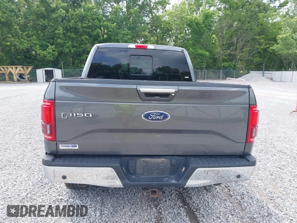 2017 Ford F-150 XL with VIN 1FTEW1EG1HFA57056, listed as a IAAI auction lot 42208792 with 158,973 mi miles and . Bid and sale history available at DreamBid. Image 16.