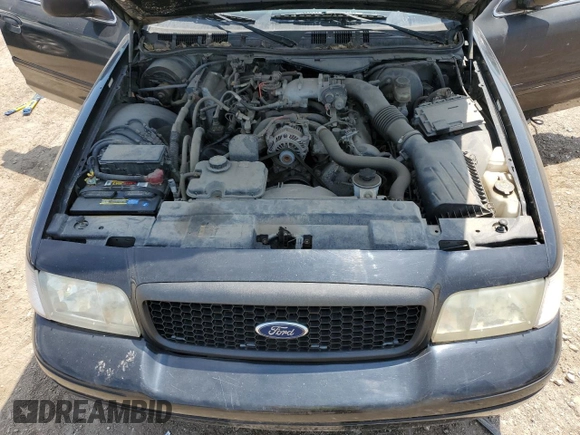 2009 Ford Police Interceptor with VIN 2FAHP71V59X148683, listed as a Copart auction lot 56866125 with Not provided miles and Salvage title. Bid and sale history available at DreamBid. Image 11.