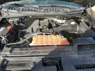 2017 Ford F-150 XL with VIN 1FTEX1CP3HFA43031, listed as a Copart auction lot 89388605 with 176,948 mi miles and Salvage Title. Bid and sale history available at carsss.com. Image 11.