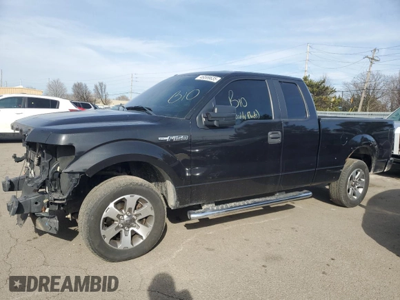 2014 Ford F-150 XL with VIN 1FTFX1CF4EKD90138, listed as a Copart auction lot 46899635 with 225,309 mi miles and Salvage Title. Bid and sale history available at carsss.com. Image 1.