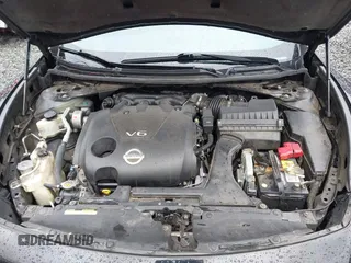 2009 Nissan Maxima SV with VIN 1N4AA51E39C856967, listed as a IAAI auction lot 41919510 with 231,933 mi miles and . Bid and sale history available at DreamBid. Image 10.