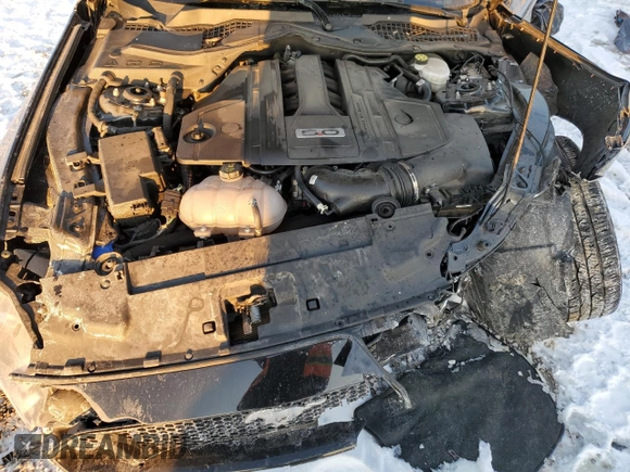 2022 Ford Mustang GT with VIN 1FA6P8CF1N5105683, listed as a Copart auction lot 46251905 with 49,344 mi miles and Salvage title. Bid and sale history available at DreamBid. Image 13.