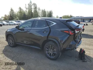 2022 Lexus NX with VIN 2T2GKCEZ8NC004372, listed as a Copart auction lot 67303123 with 16,217 mi miles. Bid and sale history available at carsss.com. Image 2.
