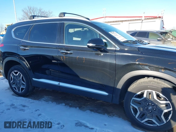 2022 Hyundai Santa Fe Limited with VIN 5NMS4DAL3NH465165, listed as a IAAI auction lot 41362783 with 31,841 mi miles. Bid and sale history available at carsss.com. Image 13.