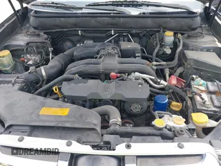 2013 Subaru Outback Limited с VIN 4S4BRBKC1D3206638, выставлен на аукционе IAAI как лот 42233796 с пробегом 132 846 миль миль и . История ставок и продаж доступна на DreamBid. Изображение 10.