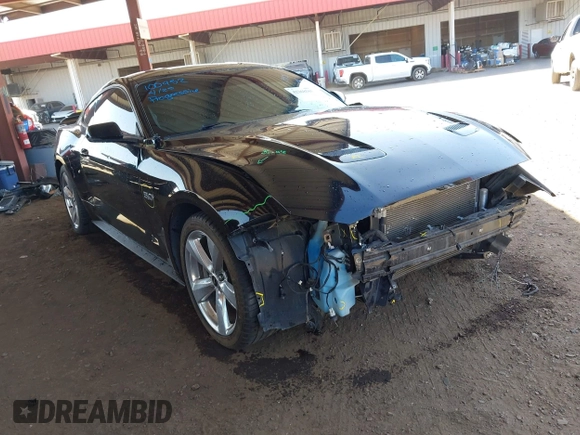 2019 Ford Mustang GT with VIN 1FA6P8CF4K5120688, listed as a IAAI auction lot 42268585 with 97,505 mi miles and . Bid and sale history available at DreamBid. Image 1.